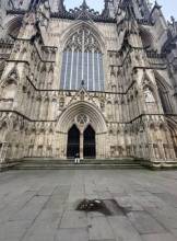 Leeds Escort Jonah Adult Entertainer in United Kingdom, Adult Service Provider, Escort and Companion.