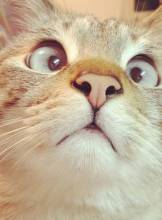 Norwich Escort Alex90 Adult Entertainer in United Kingdom, Adult Service Provider, Escort and Companion.