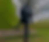 Windsor Escort MasterDan Adult Entertainer in United Kingdom, Male Adult Service Provider, Escort and Companion. - photo 1